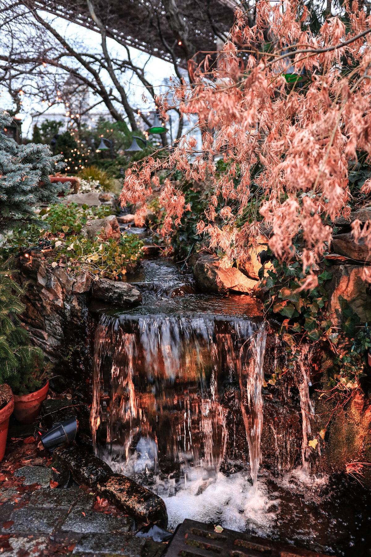 Small waterfall in a garden framed by pink blossoms
