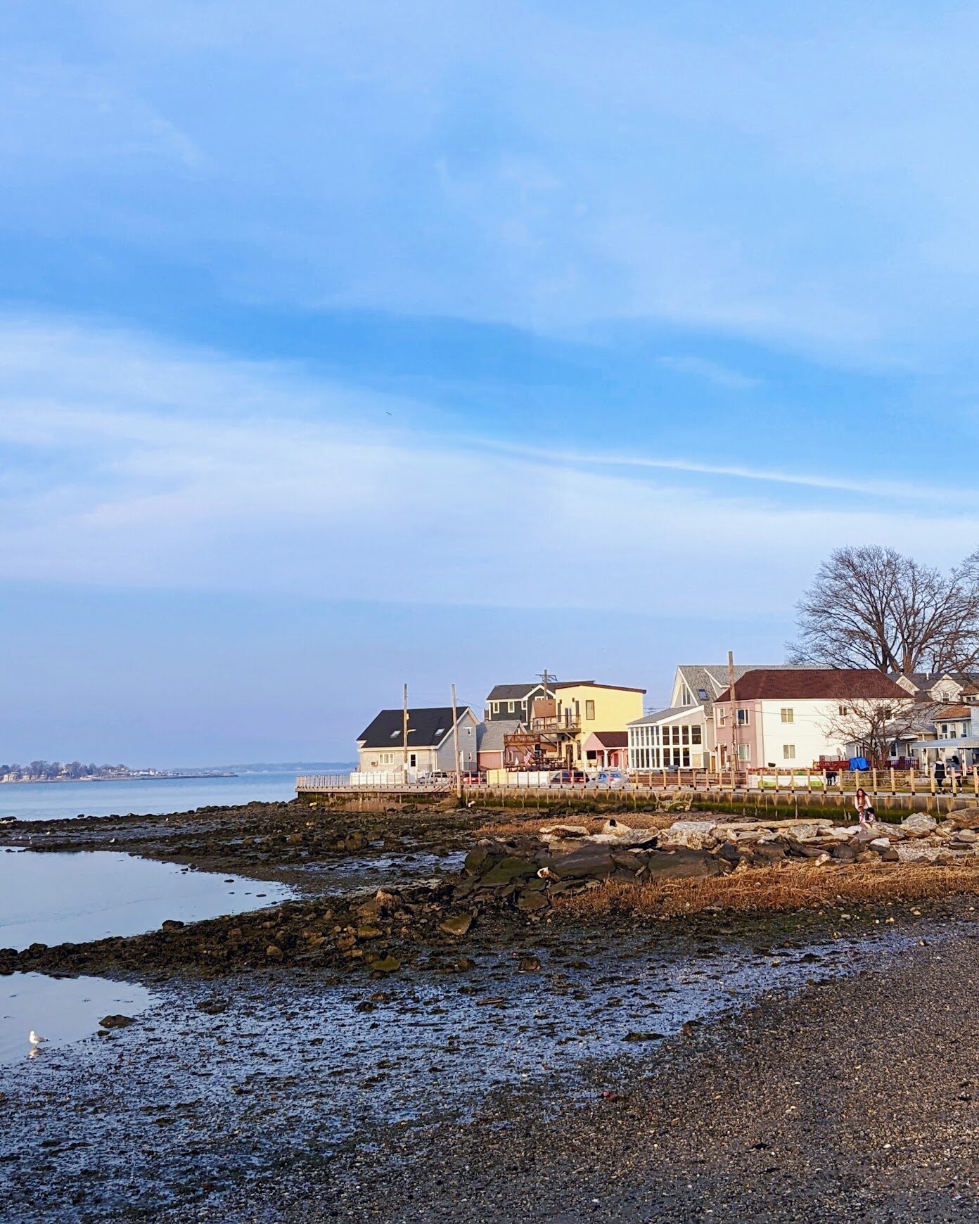 Coastal beach houses at low tide