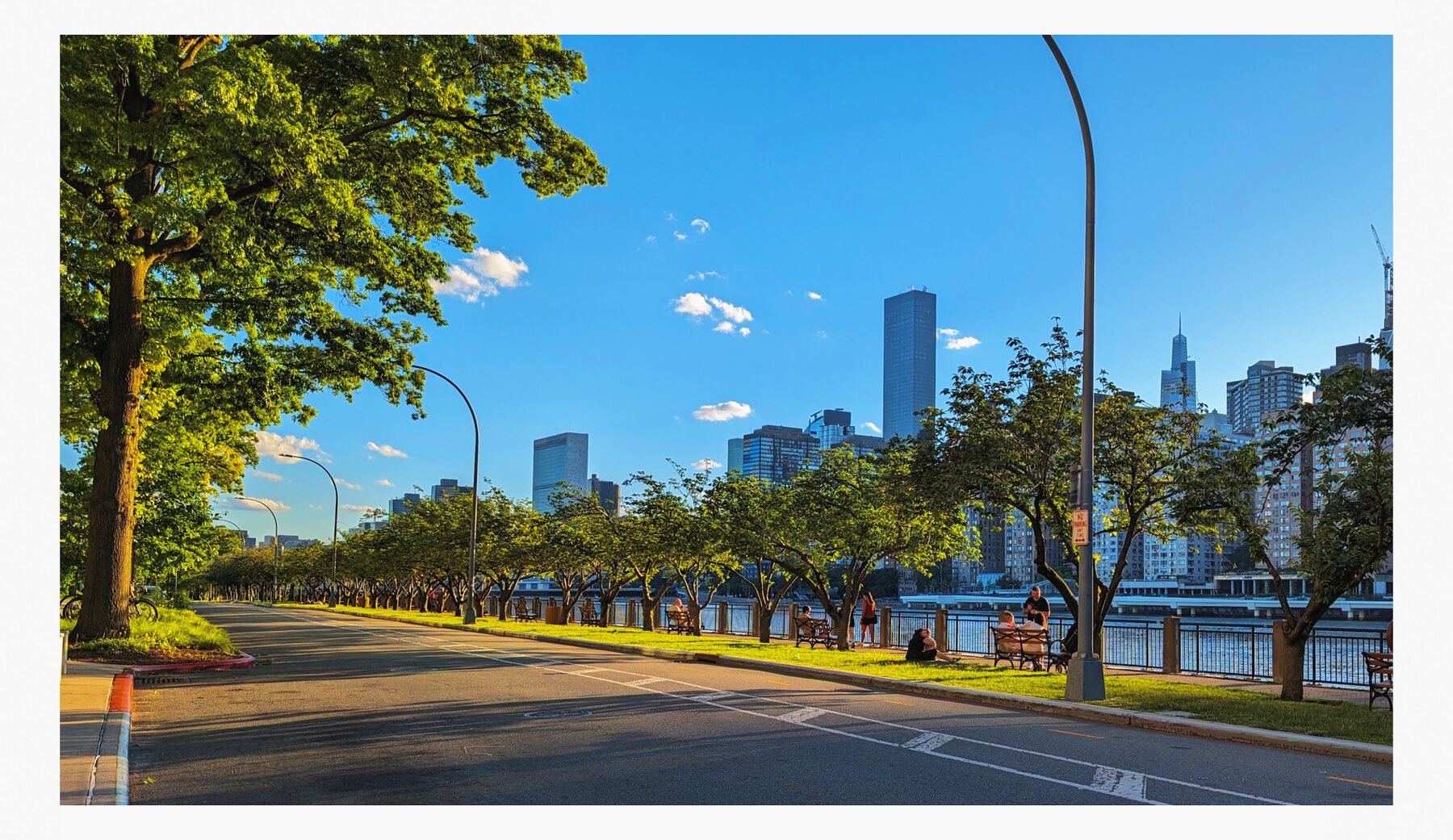 Tree-lined road leading toward the city skyline