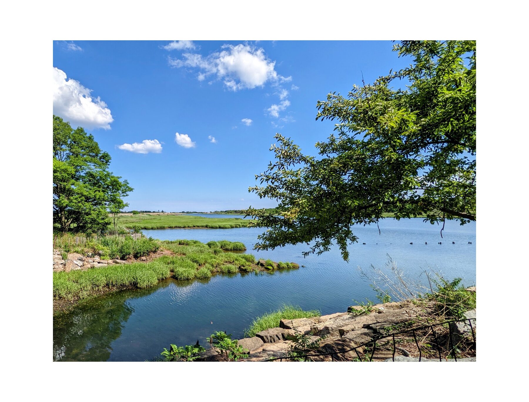 River marsh landscape with green banks