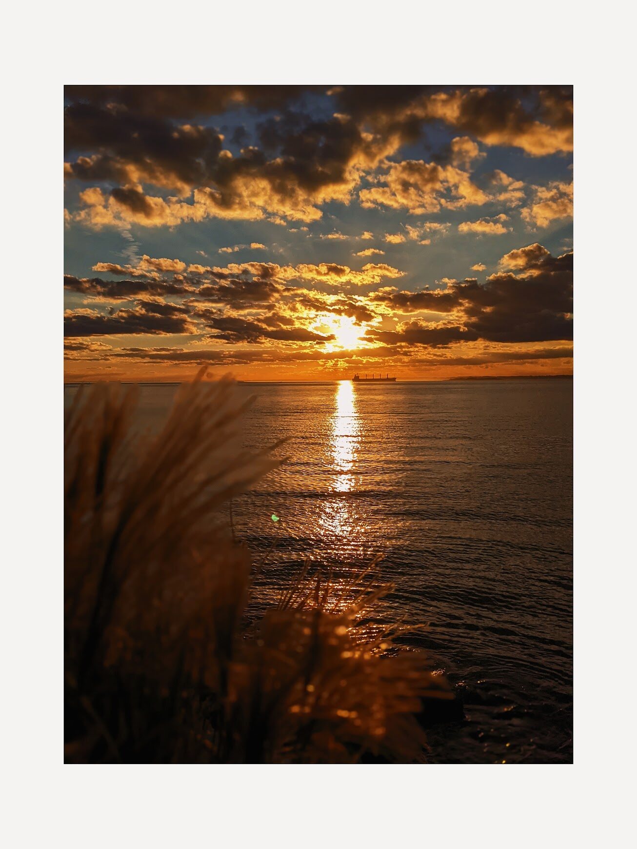Golden sunset over the ocean seen through tall grass