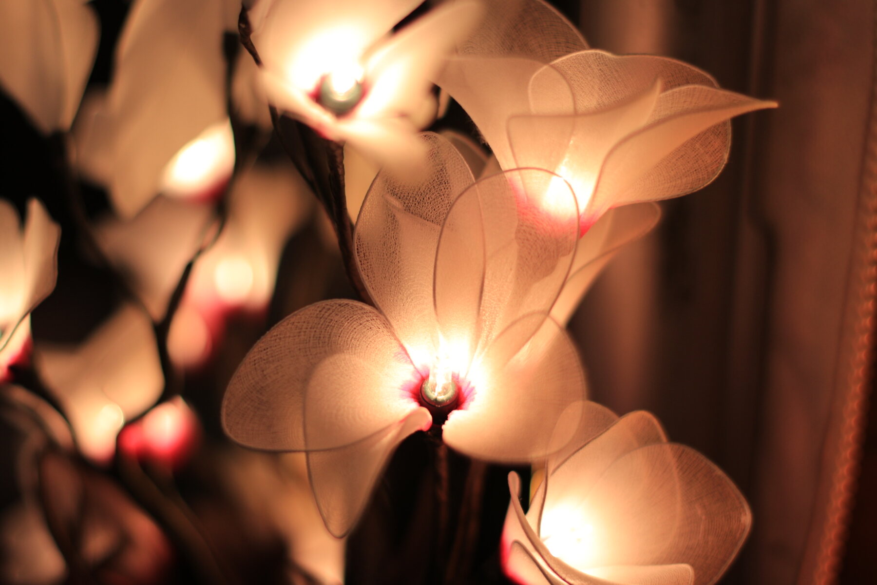 Glowing white paper lantern flowers in the dark