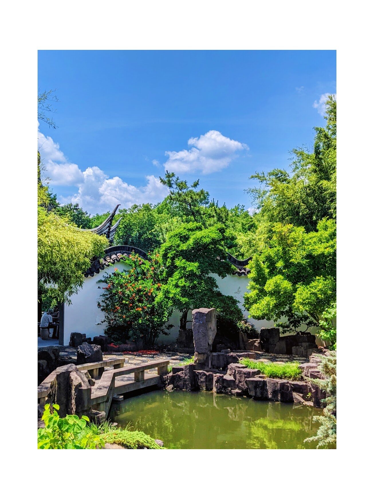 Chinese garden courtyard with greenery and a stone pond
